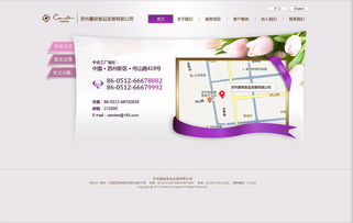 融合传统与创新 现代月饼食品行业网站设计指南