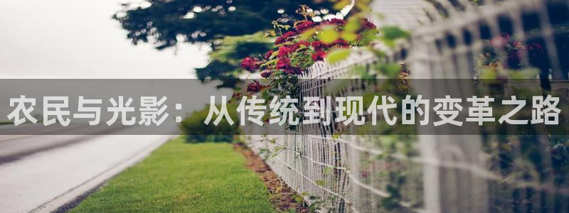 日本理论免费电影：农民与光影：从传统到现代的变革之路