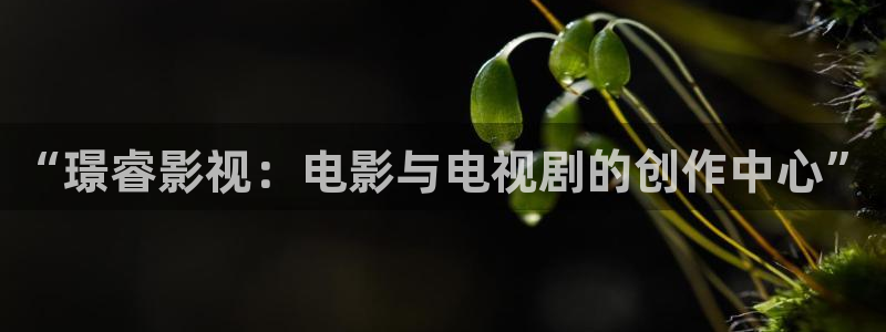 3334k老三理论电影：“璟睿影视：电影与电视剧的创作中心”
