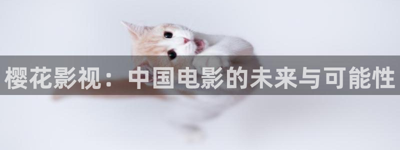 美国理论电影在线看：樱花影视：中国电影的未来与可能性