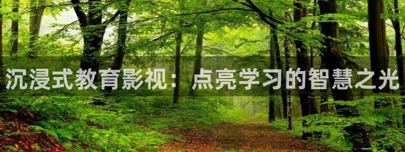 神马老子理论影院：沉浸式教育影视：点亮学习的智慧之光