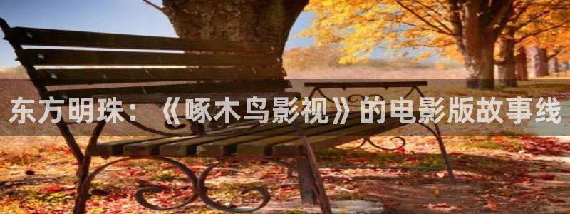 717影院理论午夜伦不卡：东方明珠：《啄木鸟影视》的电影版故事线