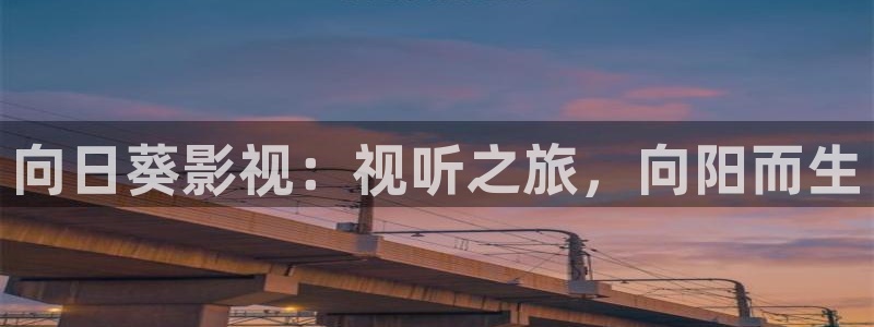 欧美理论电影网站：向日葵影视：视听之旅，向阳而生
