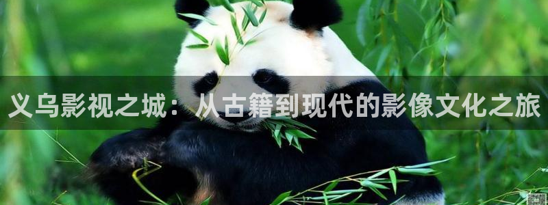 老子影院午夜理论手机：义乌影视之城：从古籍到现代的影像文化之旅