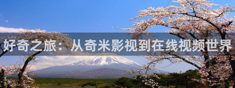 理论片天堂网：好奇之旅：从奇米影视到在线视频世界