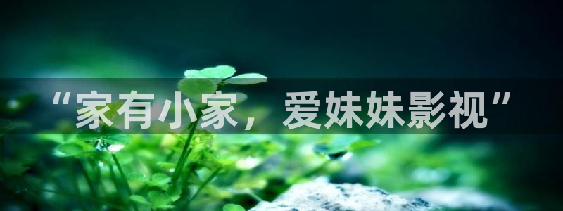 李采潭理论电影：“家有小家，爱妹妹影视”