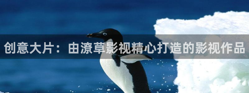 理论片在线电影：创意大片：由潦草影视精心打造的影视作品