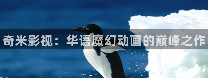 2018年韩国理论电影：奇米影视：华语魔幻动画的巅峰之作