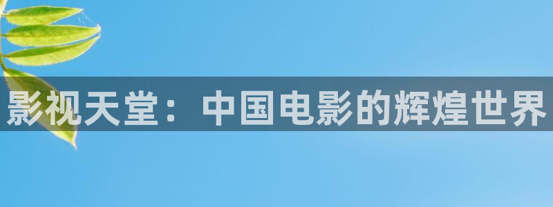 2828理论电影：影视天堂：中国电影的辉煌世界