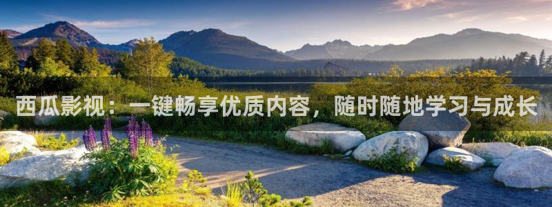 88影视网理论片：西瓜影视：一键畅享优质内容，随时随地学习与成长