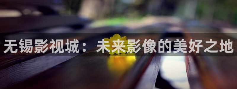 日韩午夜理论电影在线观看：无锡影视城：未来影像的美好之地